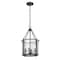 Z-Lite Barrington Pendant, 4-Light, 12 In.W x 21 In.H, Matte Black/Clear Waterglass 346P12-MB - alternate 4